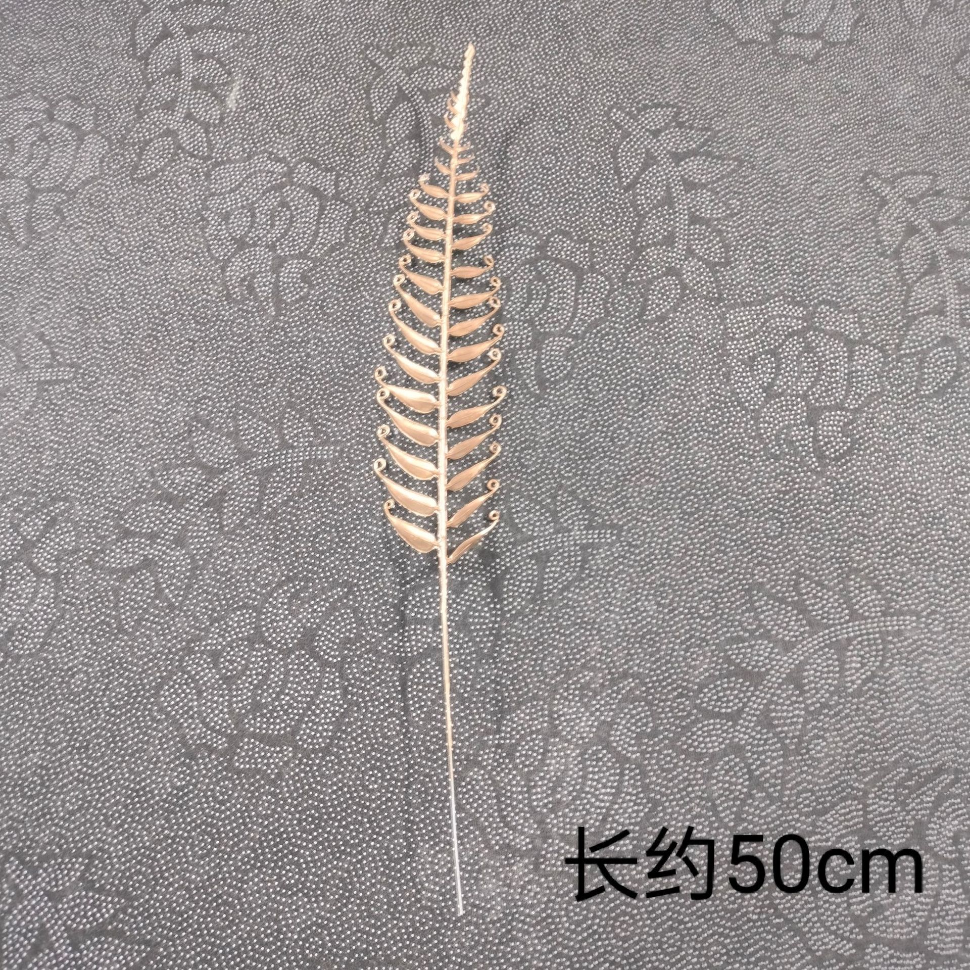골드 모델 5