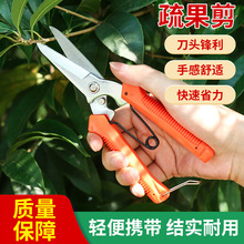 ���P���֦���๦�ܾ��ۼ�@ˇ���P��FƤ����ժ������֦������