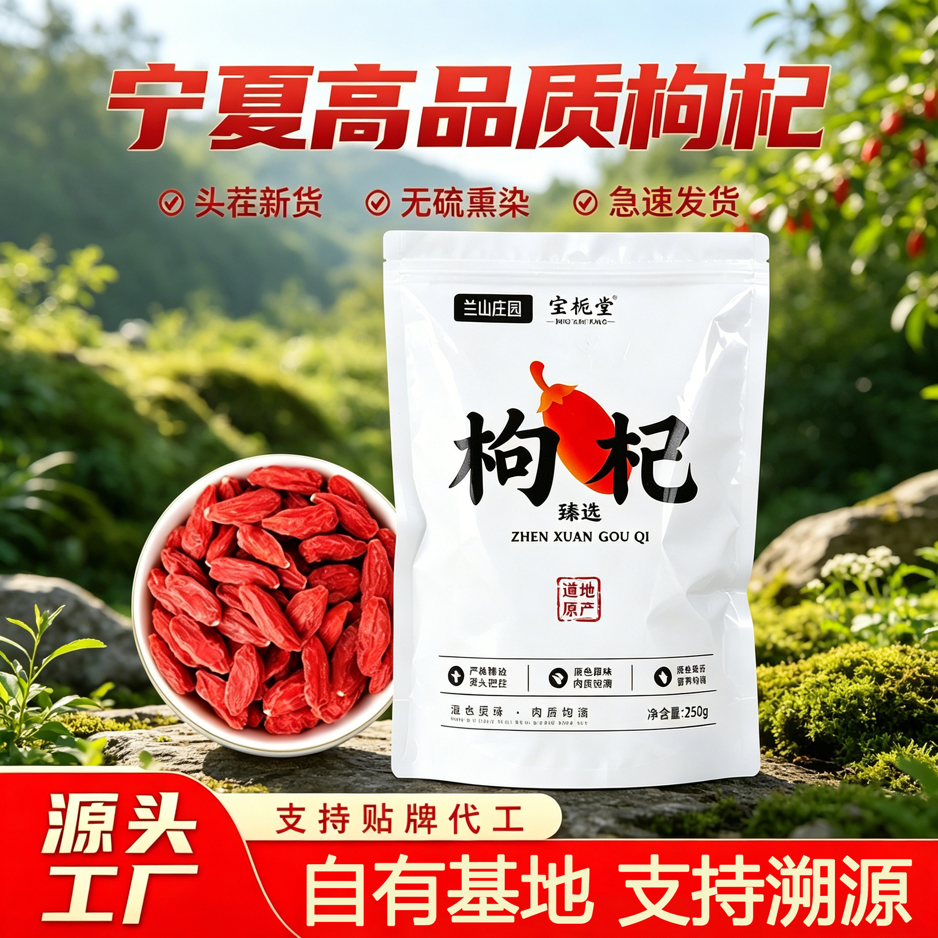 Dried Goji Berries 250g Jar Ningxia Zhongning Gou Qi Zi Unsulfured Premium Goji Fruit key features