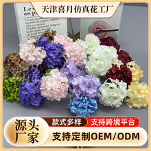 �羳��֦���滨���ý���ٻ���Y��ܛ�b�Ƶ깰�T�b�c�������l