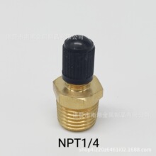 NPT1/4气门嘴压力罐容器罐阀门NPT螺纹接头非标定制铜气嘴