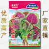 Free shipping [Benefits offline] Summer and autumn online easy -to -plant vegetable seed wholesale companies direct selling color bag vegetable seeds