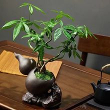 �lؔ�������҃�ֲ��͏d����ȩ��ؔ���辰�ļ������k���һ��ܾGֲ