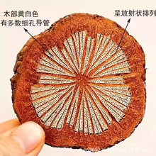 �t����ϴ�Ѫ�� ���� ��Ѫͨ ���lһ�����l����ă�