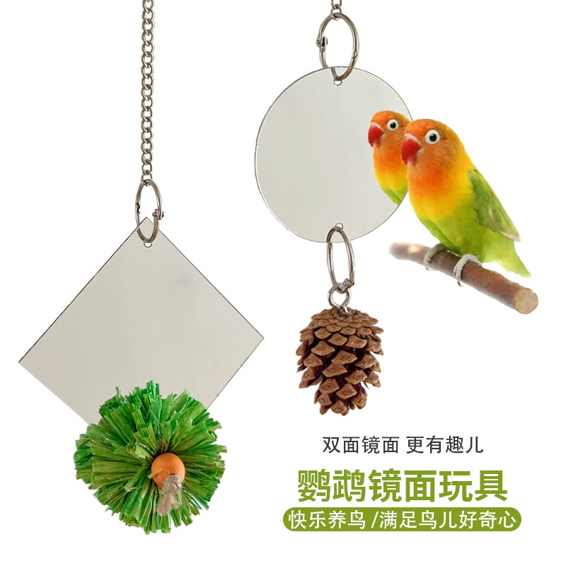 Веселый попугай игрушка двухсторонняя зеркальная птица зеркальное зеркало