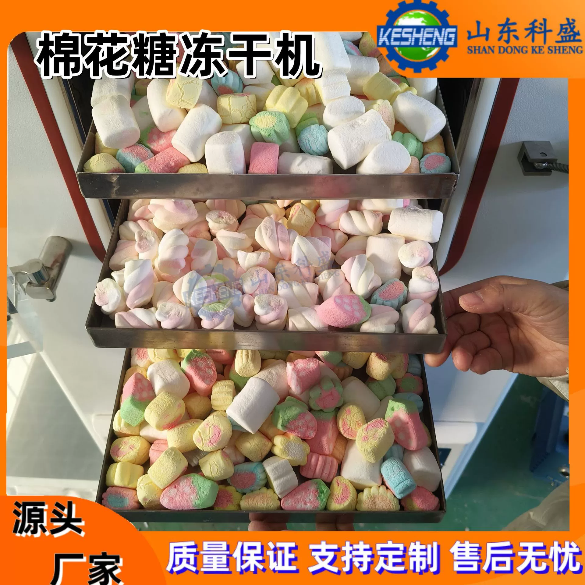 Зефир сушилка для сушки радуги ямс инжир боярышник вакуумный сушки сушки