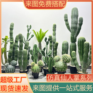 �¿�ɳĮϵ�з���������������������ᎧɳĮ���������ֲ������