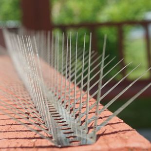 ���R�d���P䓷������� �p���̨���o��؈����̰�Ҫ����