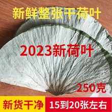 微山湖整张干荷叶250g叫花鸡用荷叶鸡包糯米鸡荷叶熬粥新鲜干荷叶