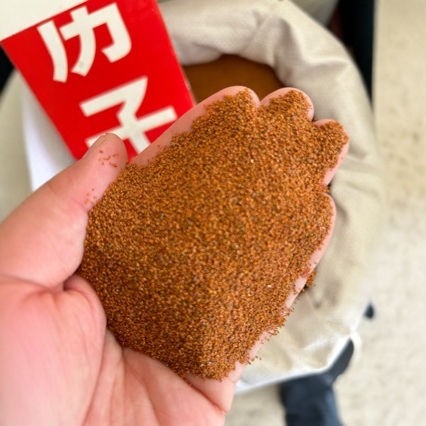 中药材批发葶苈子 中药材葶力子 新货亭力子