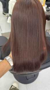 �����o���^��ë�Ӱl