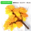 12 orange and yellow camphor leaves