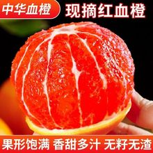 现摘现发秭归中华红血橙卡拉卡拉红肉血橙红橙保健橙新鲜橙子水果
