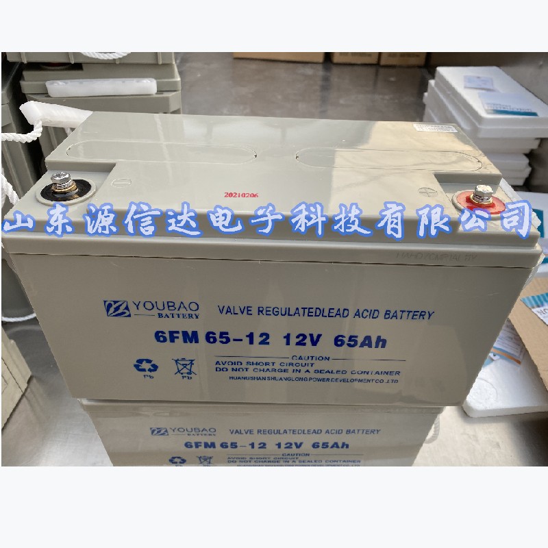 YOUBAO蓄电池6FM17-12质保三年12V17AH免维护 UPS/直流屏电源