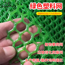 绿色加厚塑料网养鸡鸭用塑料格网育雏漏粪网垫网塑料网格塑料网