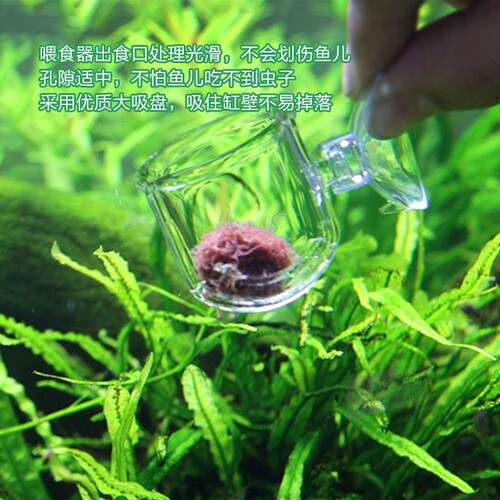 Red Worm Cup Feeder, Fish Worm Funnel, Feeding Ring for Nematodes & Bloodworms, Feed Dispenser for Glass and Plastic Fish Tanks