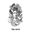 TBS-8410