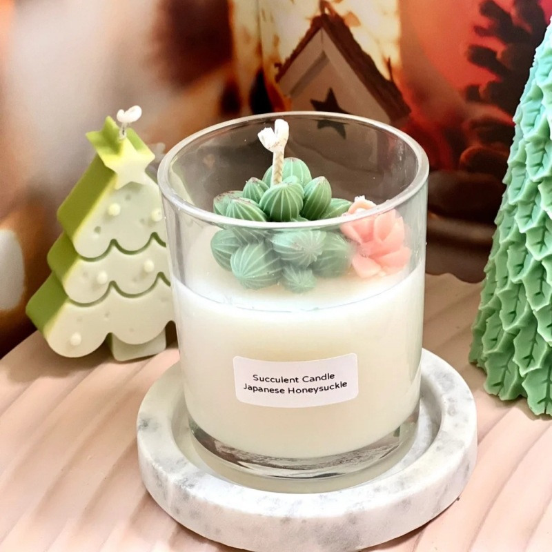 Transfronteriza ins suculenta planta en maceta cactus aromaterapia vela cera de soja decoración de vidrio para novias y amigos