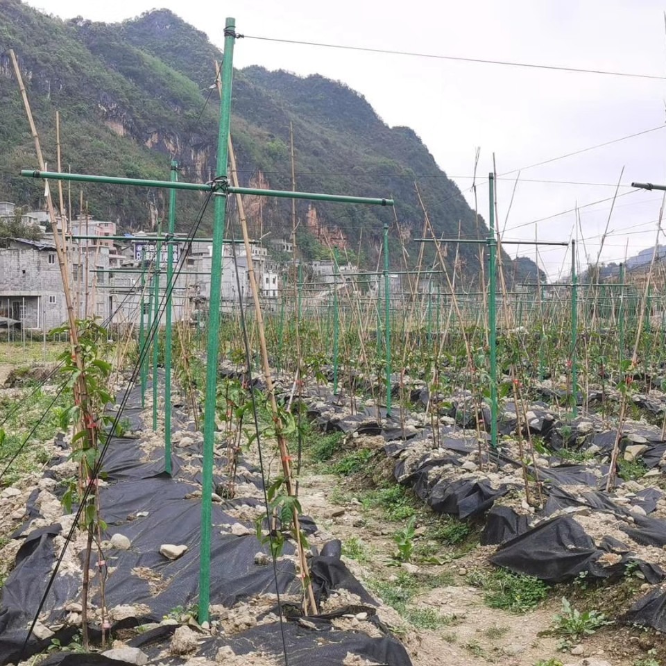 厂家直销玻璃钢包毡管 百香果猕猴桃支架高强度玻璃纤维包毡管