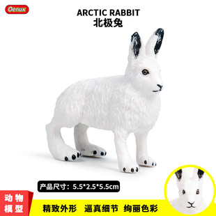 �������ģ�͌������㱱�O�����Ӄ�ͯ������߷������[�����k