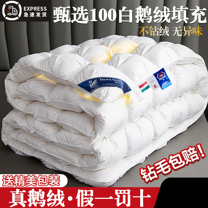 羽绒被加厚保暖冬被芯95白鹅丝绒酒店单人鸭绒被棉被冬天季春秋被