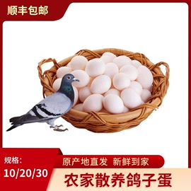 桃子;苹果;瓜果类