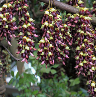 �����������٘�����������ֲ��/���G�����ٻ���/��ȸ����/���S��