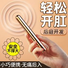 情趣肛塞女后庭开发肛交自慰器屁眼成人sm玩具肛门性用品开肛