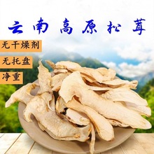 松茸菌菌菇干货云南特产香格里拉晒干松茸煲汤