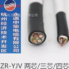 ͨвߺ| 늾| ZCYJV1*10/16/25/35/50/70ƽ