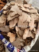 ���|��������Fëβ�� ÿ��500�� �����Ĕz��؛ ���I���N��ș��