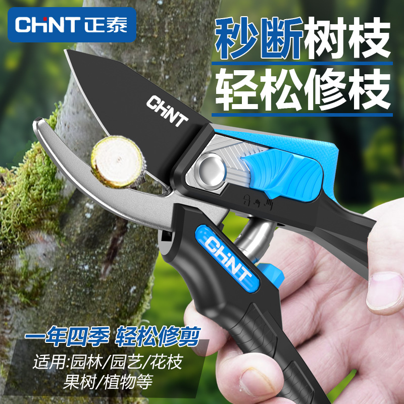 正泰剪枝剪刀园林花艺修剪树枝剪刀果树剪刀粗大花剪园艺剪子工具