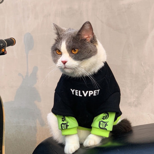 Trendy Cat Clothes for Kittens 0 to 3 Months, Stylish Fleece-Lined Patchwork Sweatshirt, Fully Covered, Cute, Anti-Shedding