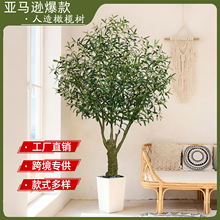 ���R�d���b������ϙ�����ԾƵ�Ҿ��҃ȴ�����ؔ[�������ϙ��