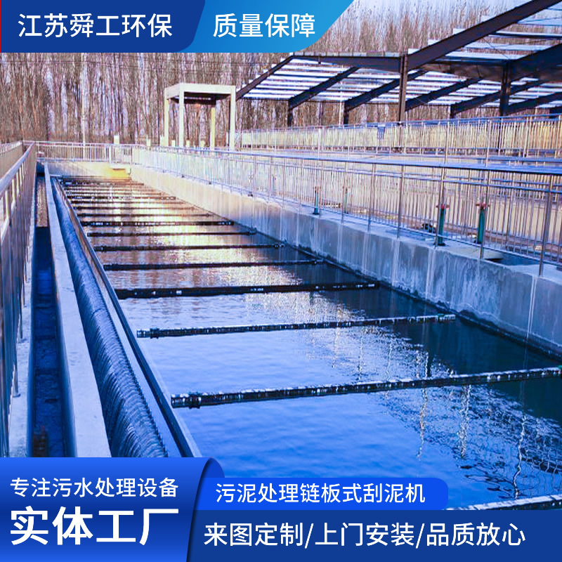 链板式刮泥机 污水处理厂链板式污泥处理刮泥机 源头工厂