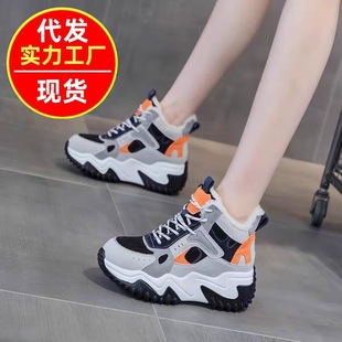 �n���ϵ�ЬŮ2025���ﶬ����ٴ�ӽq�ɸ������e�ߎ͌W���\��Ь