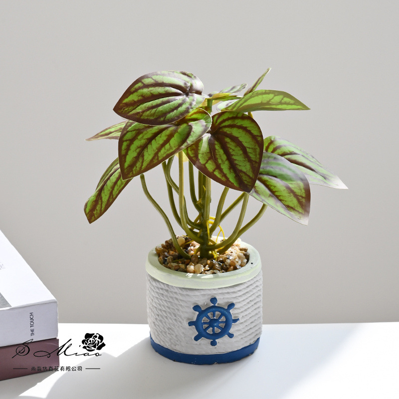 2494507 Planta en maceta de simulación de hoja de sandía de color otoñal (maceta de cemento)