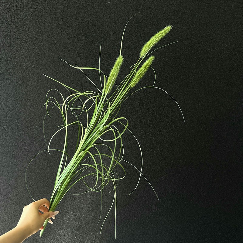 3 머리 70cm