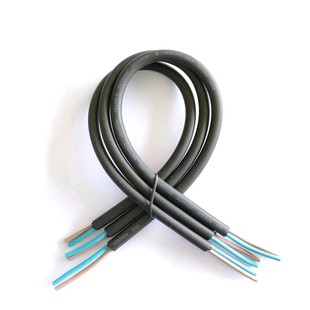 Outdoor Power Supply Waterproof Power Cord 60245 57 (Yzw) 2*1.0 Rubber Cord Anti-Uv Wear-Resistant Connecting Cable