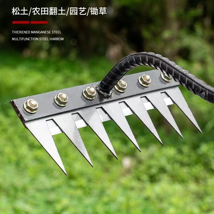 2024-06-07 13:31:39.jpg