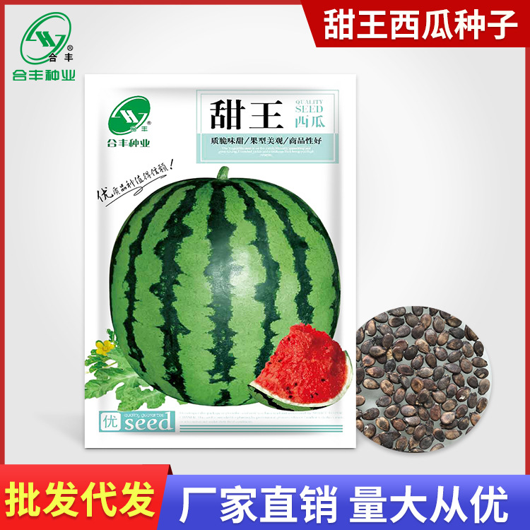 甜王西瓜种子甜脆多汁春夏播种农家有籽西瓜水果合丰种业厂家直销