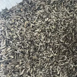 其他药食同源;参类滋补品;脱水蔬菜