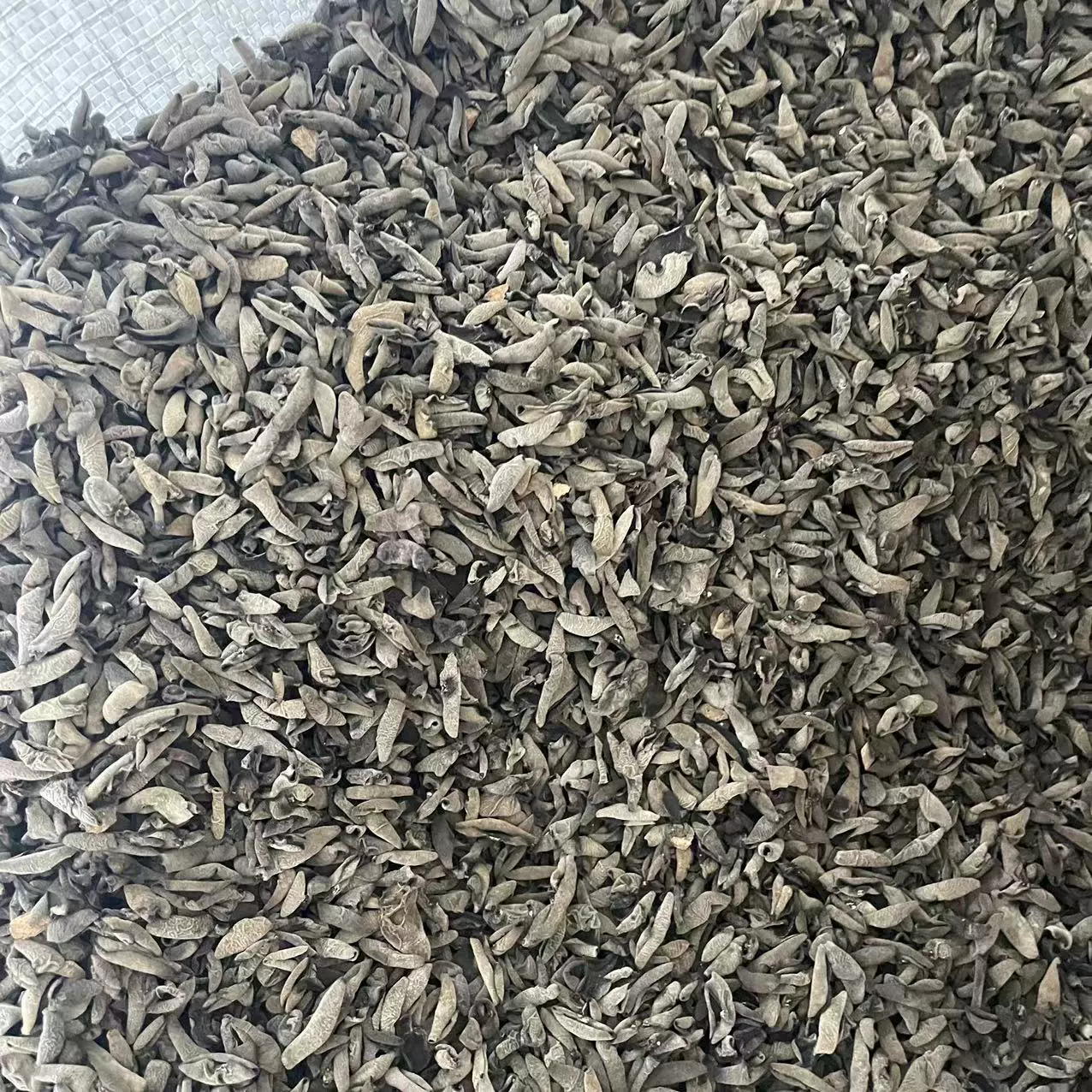 碎木耳 小木耳芽子 胡辣汤木耳  豆腐脑木耳 馅料木耳