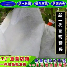 �����״��o����ɏ�F�״�ˮ���״����x���B��ˮ��͸����������̫��