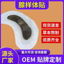 �٘��w����ɢ�N��ͯ�ʴ��{����ș�N�����w�[�����w˯�X����o�i