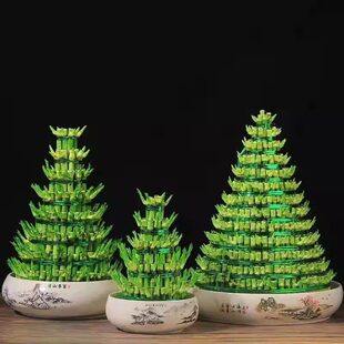 �����߸��F����ˮ���҃�ֲ�����������D�\�_�\��lؔ���F������