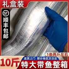 �ش��~���r�������10��Y���b��ɽҰ�����������~�r��~���r