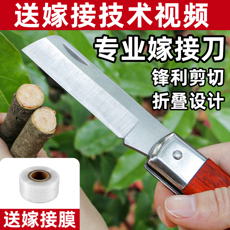 可折叠果树嫁接刀膜嫁接工具全套大树接树架接手工刀嫁接
