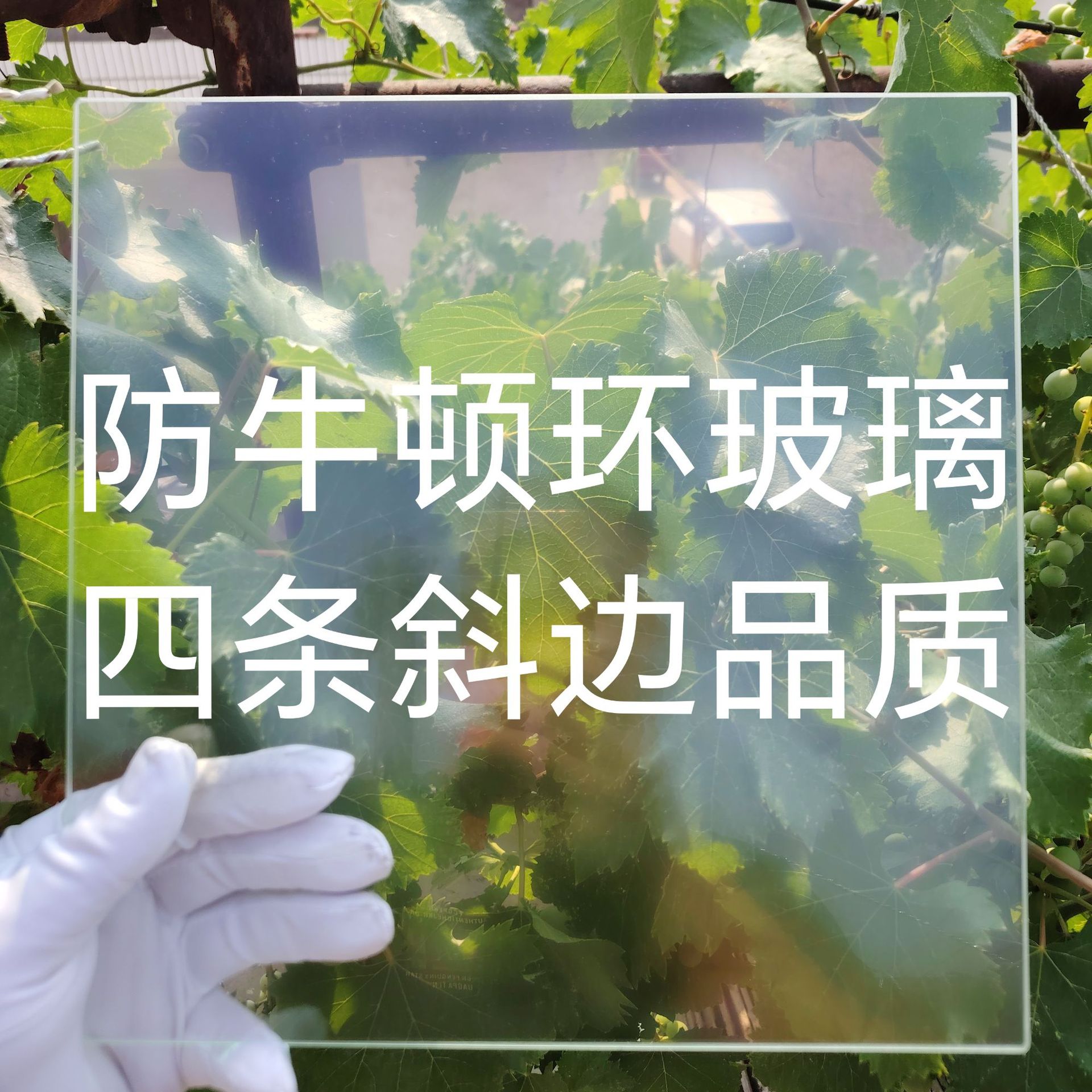 微信图片_20250617170541