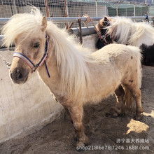 С���R�Bֳ���l �±����R�����R�����u���T�˵±����R�R�x����